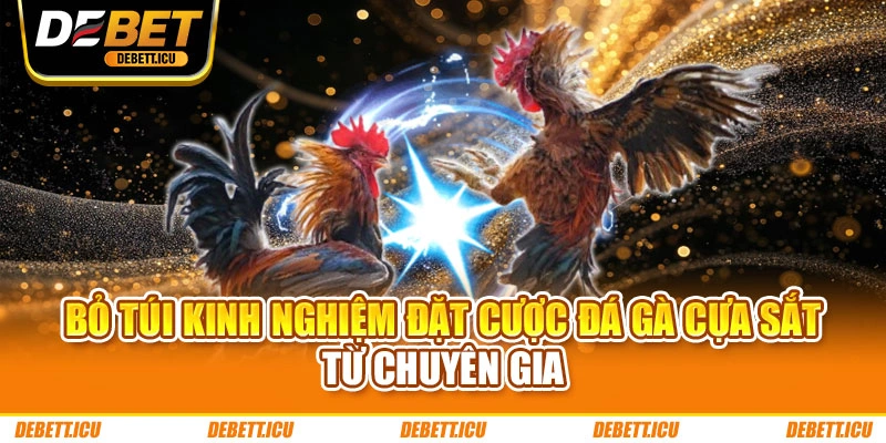 Bỏ túi kinh nghiệm đặt cược đá gà cựa sắt từ chuyên gia