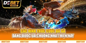 Các Hình Thức Cược Đá Gà Đang Được Ưa Chuộng Nhất Hiện Nay