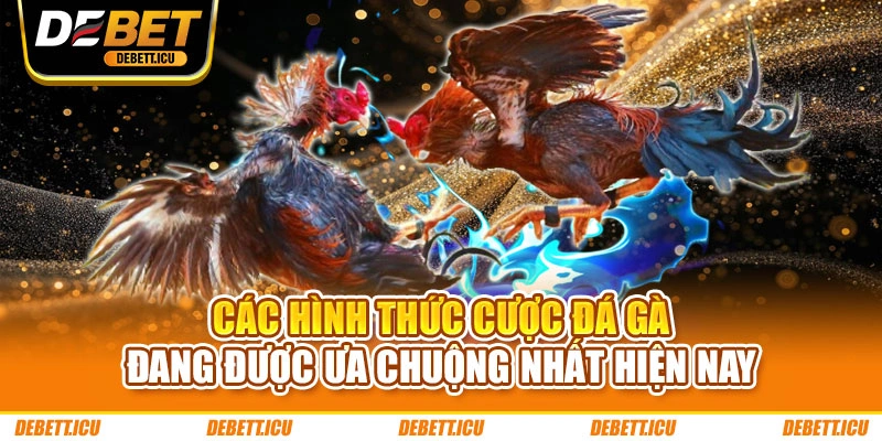 Các Hình Thức Cược Đá Gà Đang Được Ưa Chuộng Nhất Hiện Nay