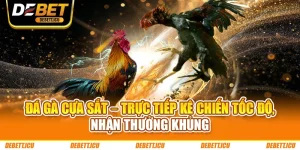 Đá Gà Cựa Sắt – Trực Tiếp Kê Chiến Tốc Độ, Nhận Thưởng Khủng