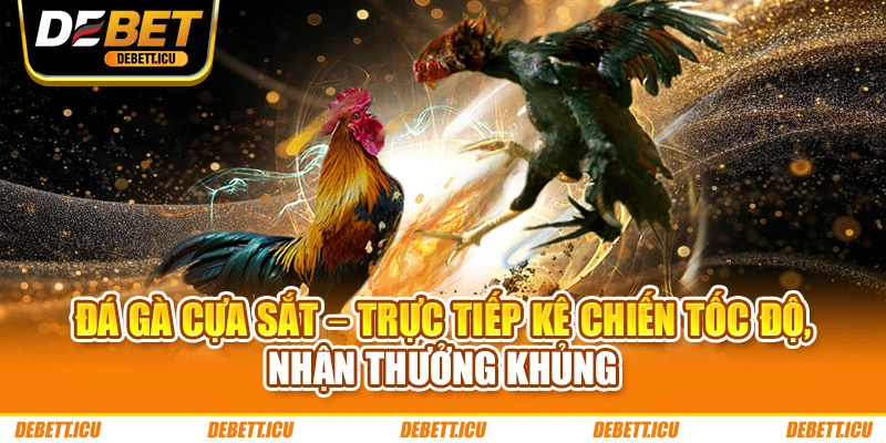 Đá Gà Cựa Sắt – Trực Tiếp Kê Chiến Tốc Độ, Nhận Thưởng Khủng