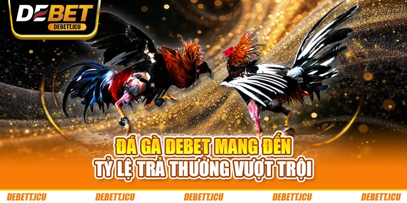 Đá gà DEBET mang đến tỷ lệ trả thưởng vượt trội