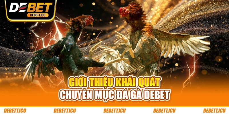 Giới thiệu khái quát chuyên mục đá gà DEBET