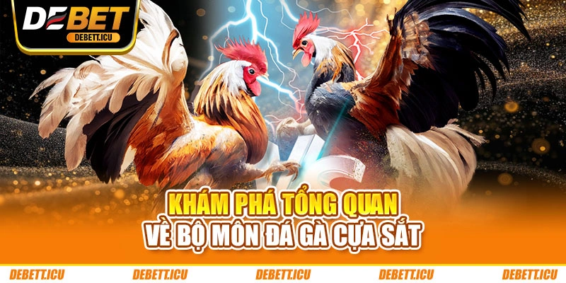 Khám phá tổng quan về bộ môn đá gà cựa sắt