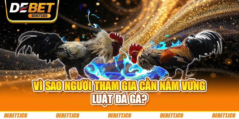 Vì sao người tham gia cần nắm vững luật đá gà?